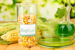 Mena biofuel availability